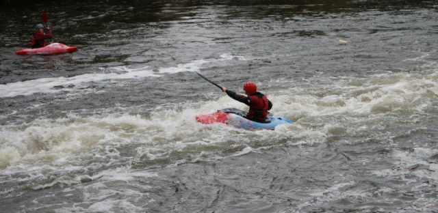 Cruising on the water